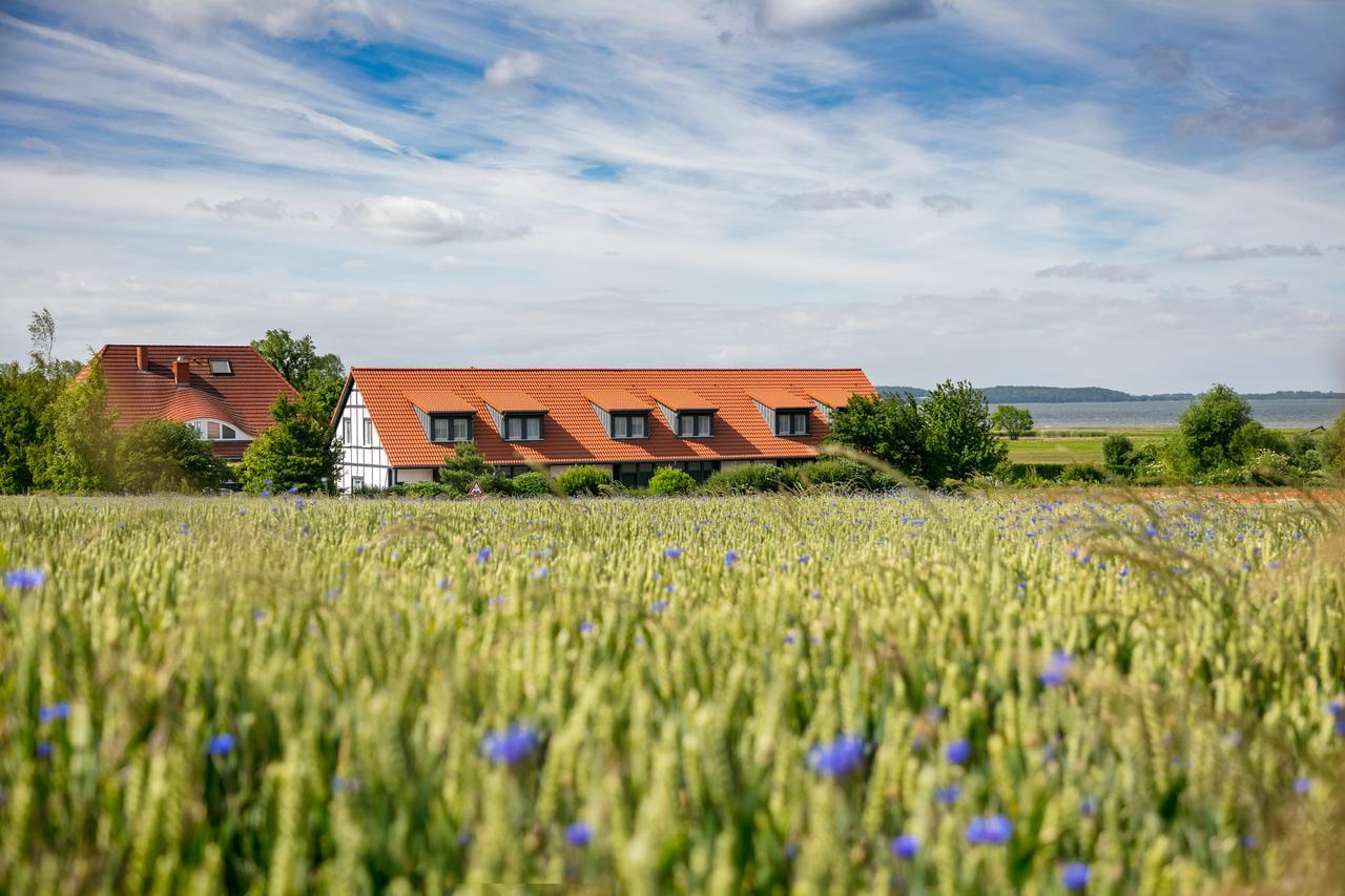 H.W.S. Hotel Der Wilde Schwan Sagard Buitenkant foto